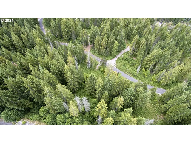 a black and white photo of a city