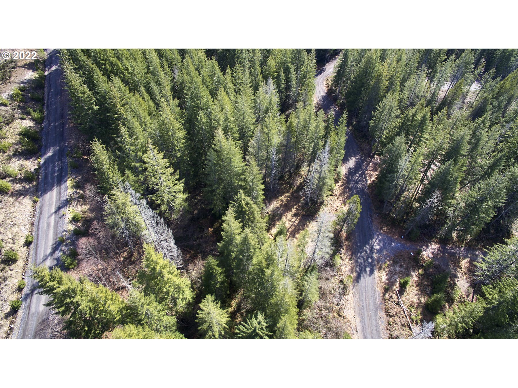 Lahar Lane, Unit 8 Cougar, WA 98616 - Photo 22 of 25 a open area with lots of trees