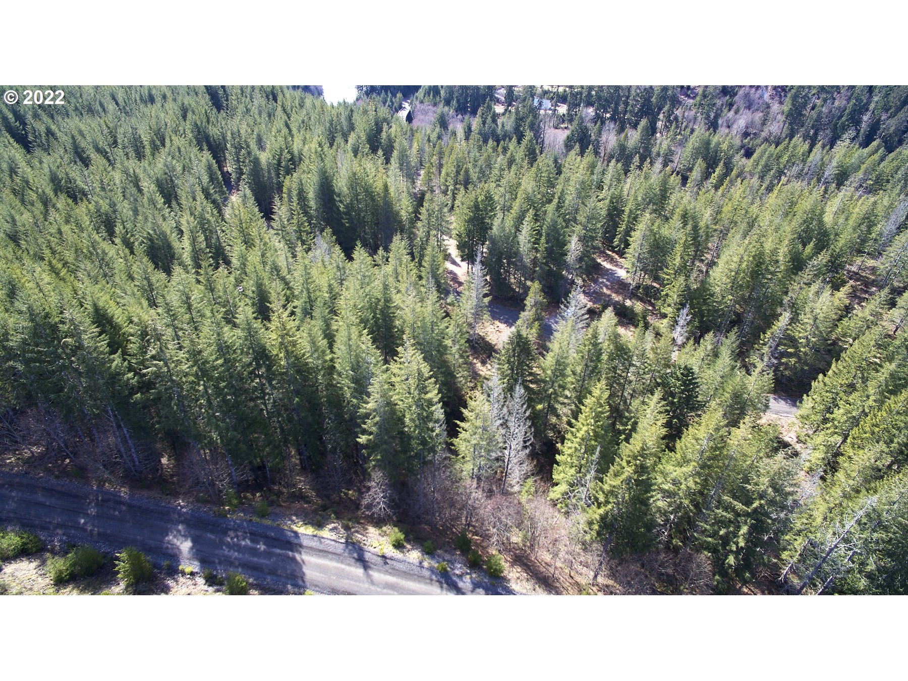 Lahar Lane, Unit 8 Cougar, WA 98616 - Photo 23 of 25 a view of a back yard