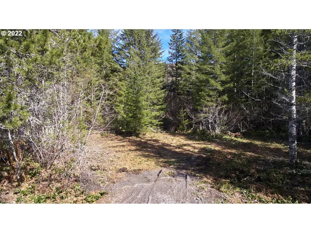 a open area with trees in front of it
