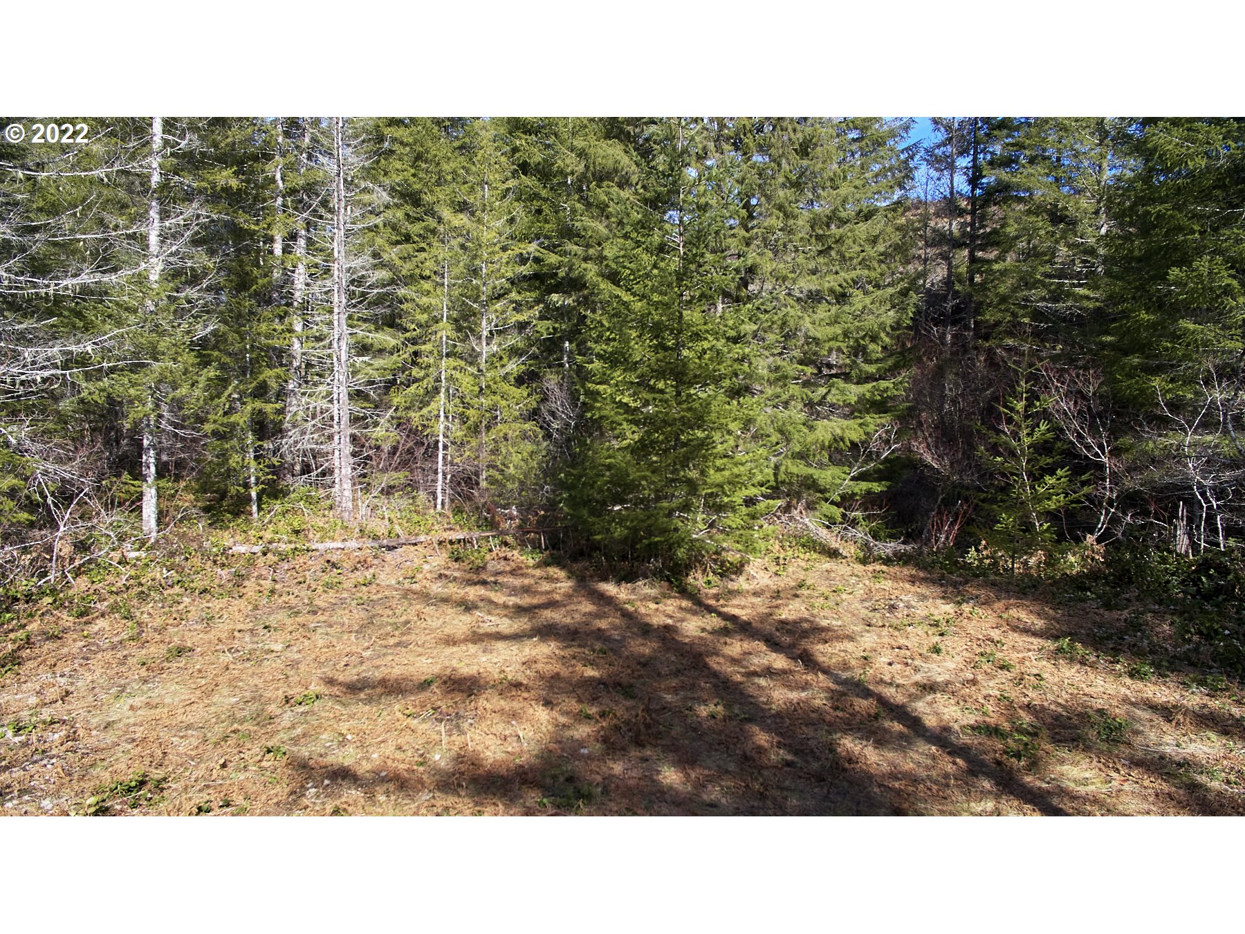 Lahar Lane, Unit 8 Cougar, WA 98616 - Photo 6 of 25 a view of a backyard