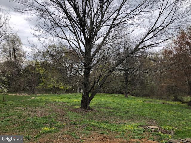 4785 Wismer Road New Hope, PA 18938 - Photo 23 of 23 Rear Yard View