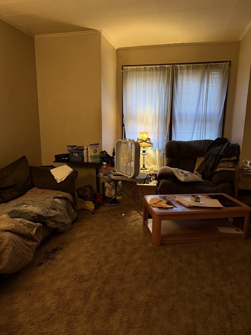 13228 South Houston Avenue Chicago, IL 60633 - Photo 3 of 7