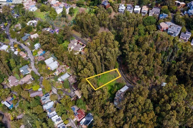 a view of a yard with plants and trees