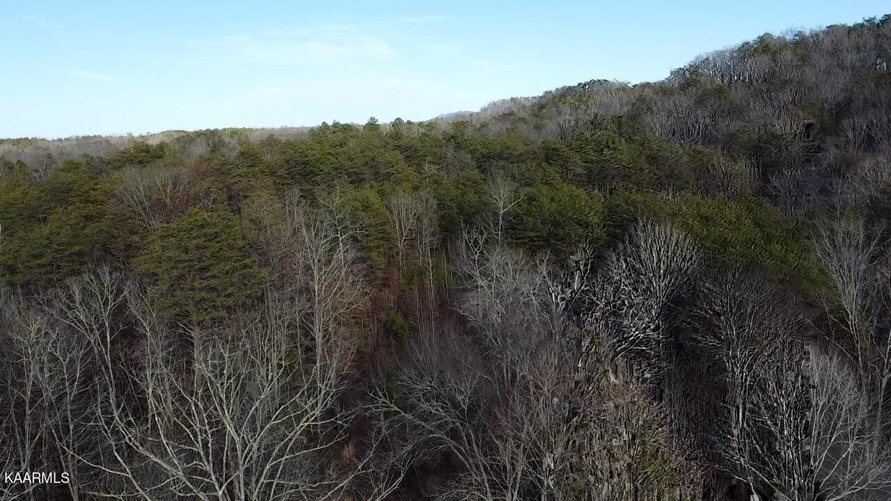0 Citico Road Vonore, TN 37885 - Photo 17 of 17