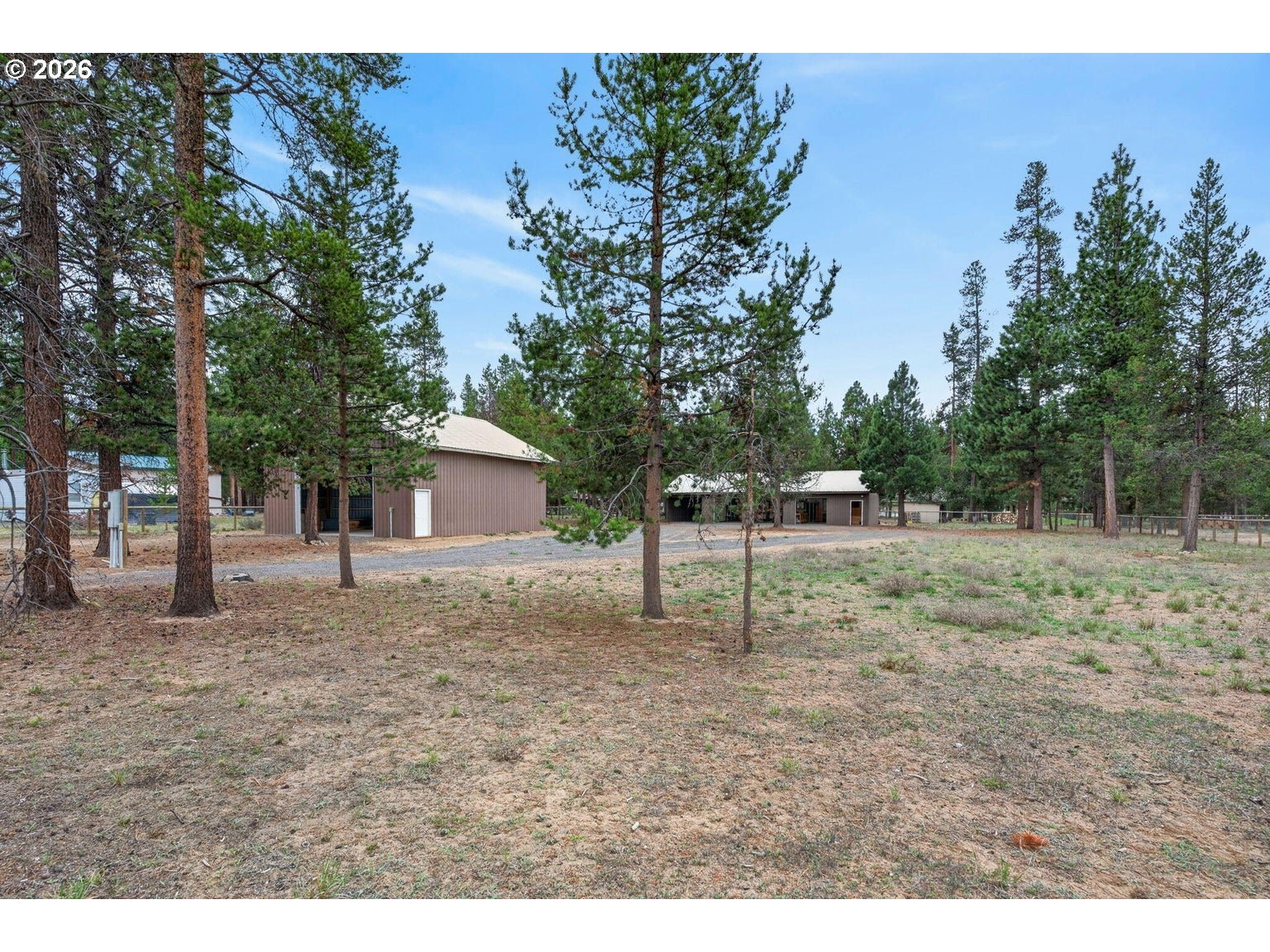 52628 Ammon Road, Unit 3 La Pine, OR 97739 - Photo 3 of 37 a view of a backyard with large trees