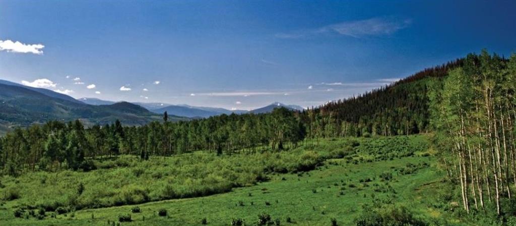 28 West Benjamin Point Silverthorne, CO 80498 - Photo 6 of 6 a view of a lush green space