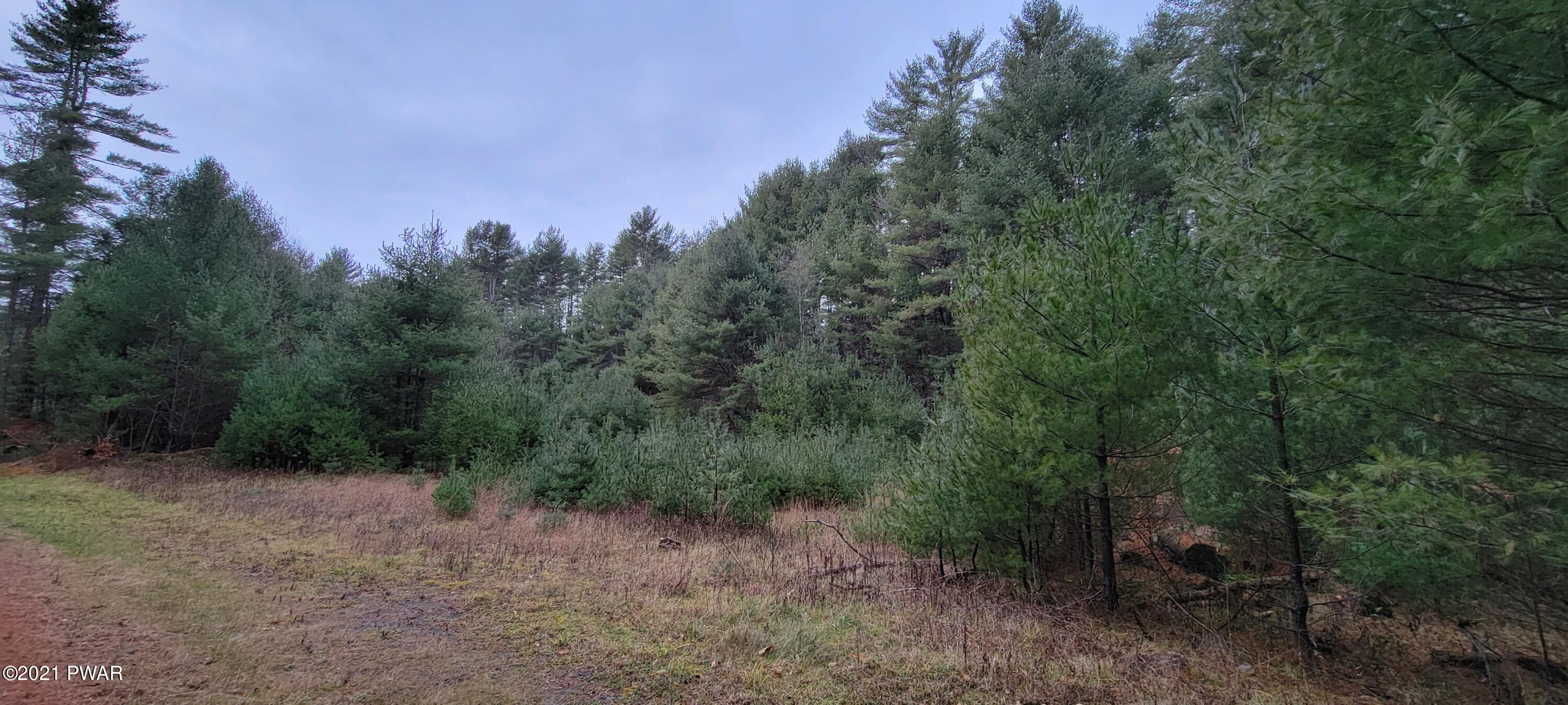 Lot 43 Swamp Pond Road Narrowsburg, NY 12764 - Photo 12 of 13