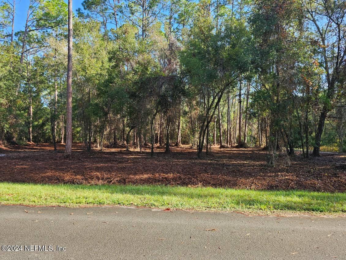 202 1st Street Georgetown, FL 32139 - Photo 13 of 13 a view of road with trees