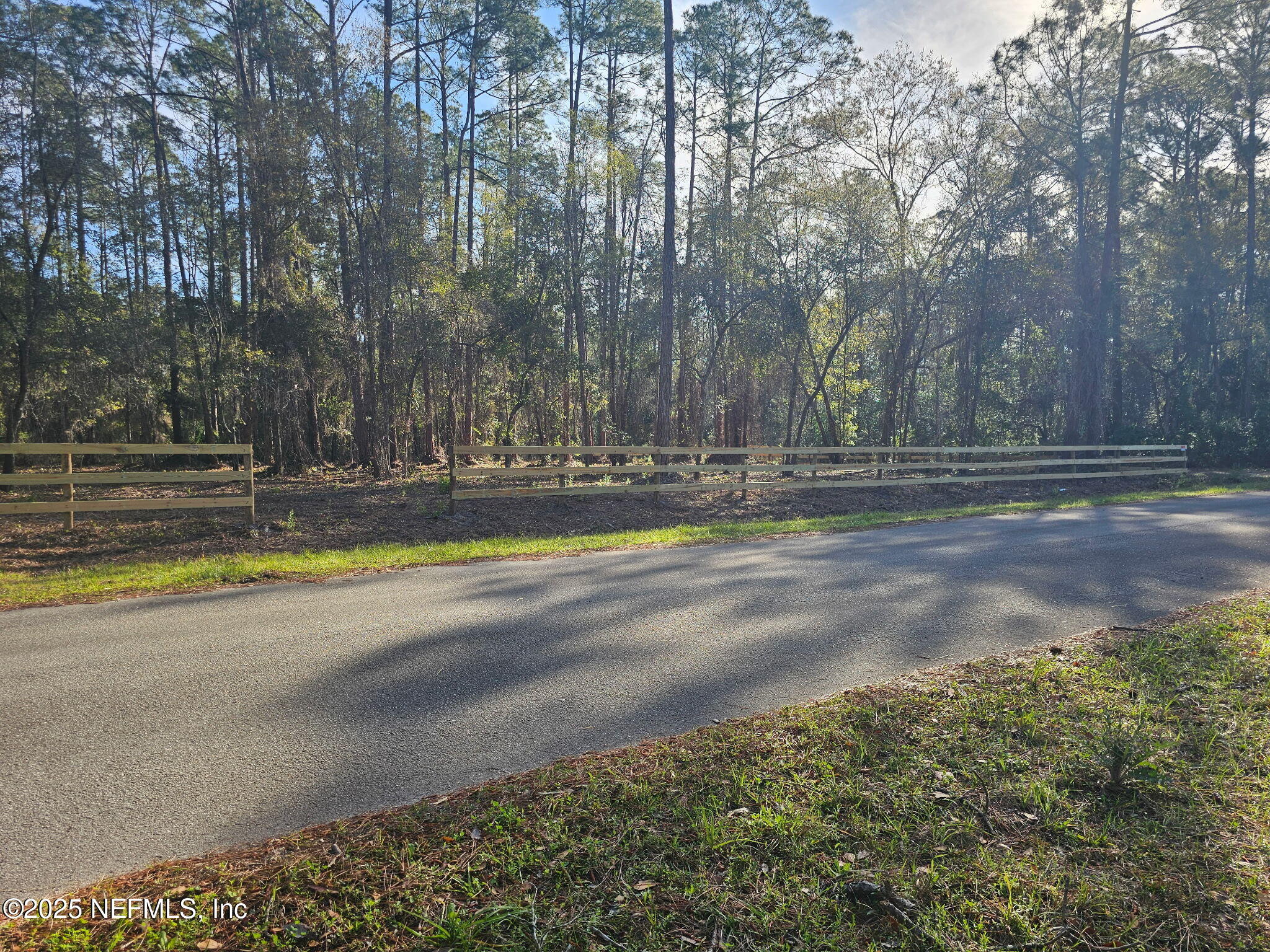202 1st Street Georgetown, FL 32139 - Photo 2 of 13 a view of a yard with large trees