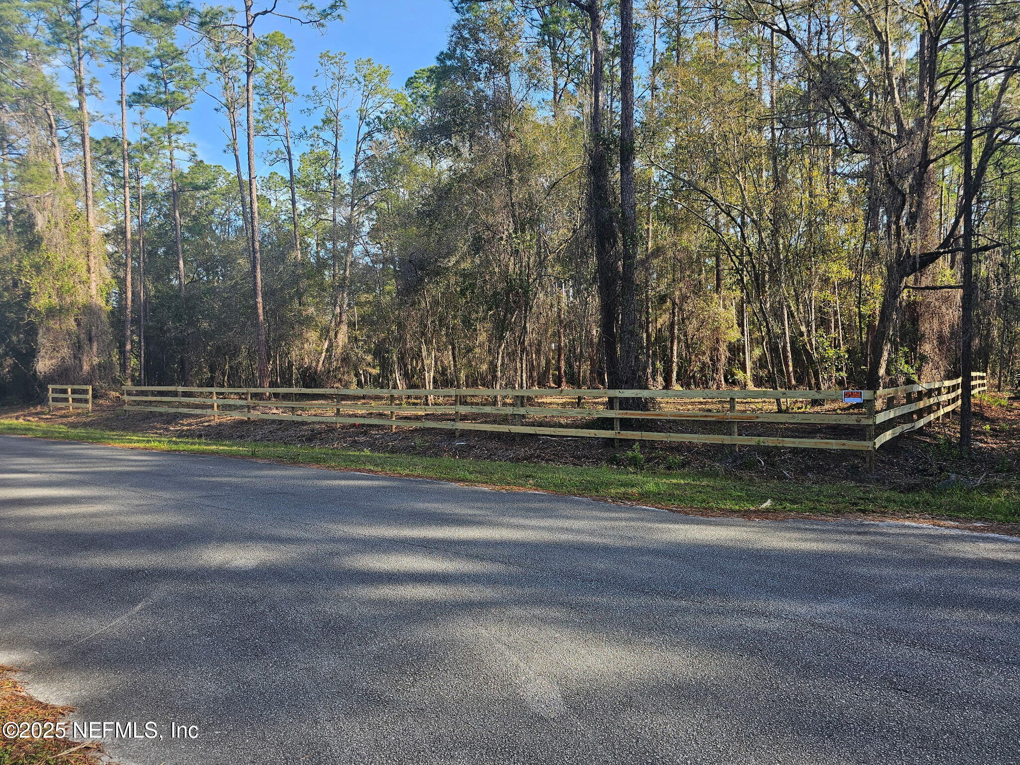 202 1st Street Georgetown, FL 32139 - Photo 3 of 13
