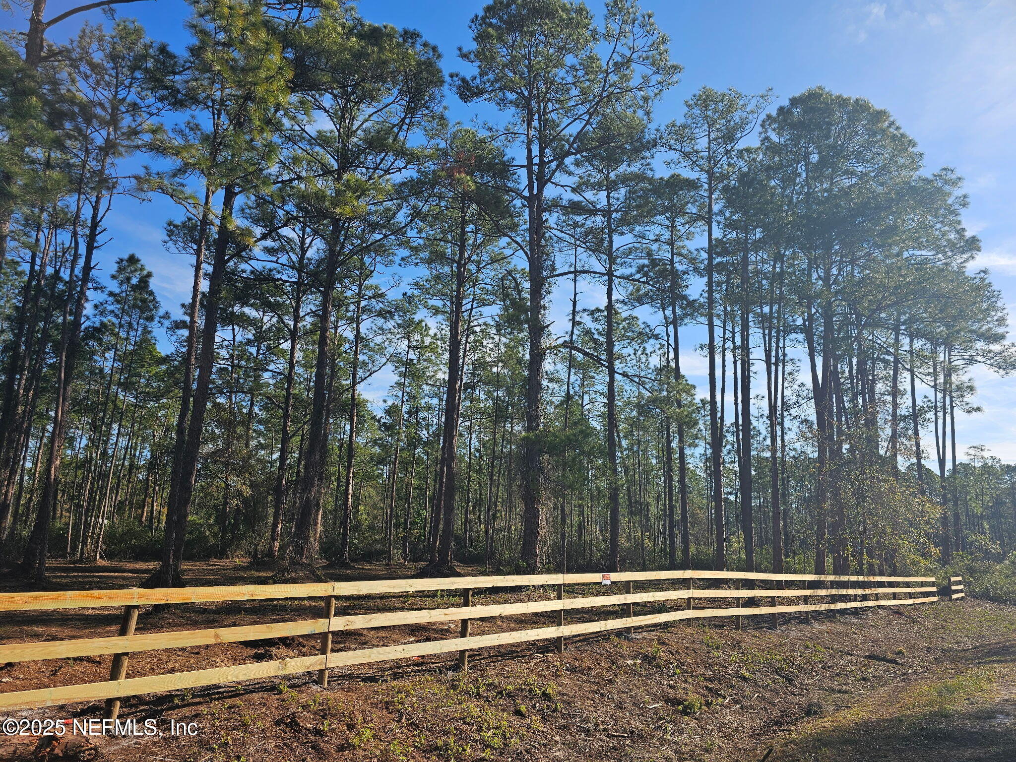 202 1st Street Georgetown, FL 32139 - Photo 4 of 13 a view of a yard with wooden fence