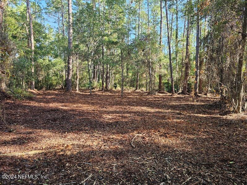 202 1st Street Georgetown, FL 32139 - Photo 6 of 13 a view of outdoor space with trees