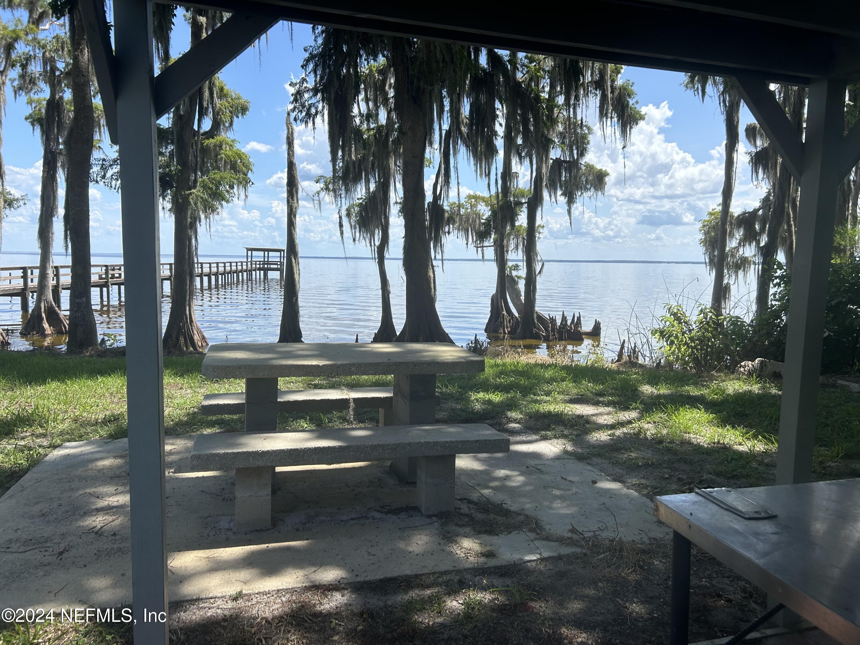 202 1st Street Georgetown, FL 32139 - Photo 7 of 13 a view of a yard with plants and a fountain