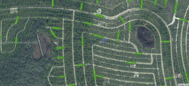 $25,000 | 8005 Campo Sano Street, Sebring, FL 33872