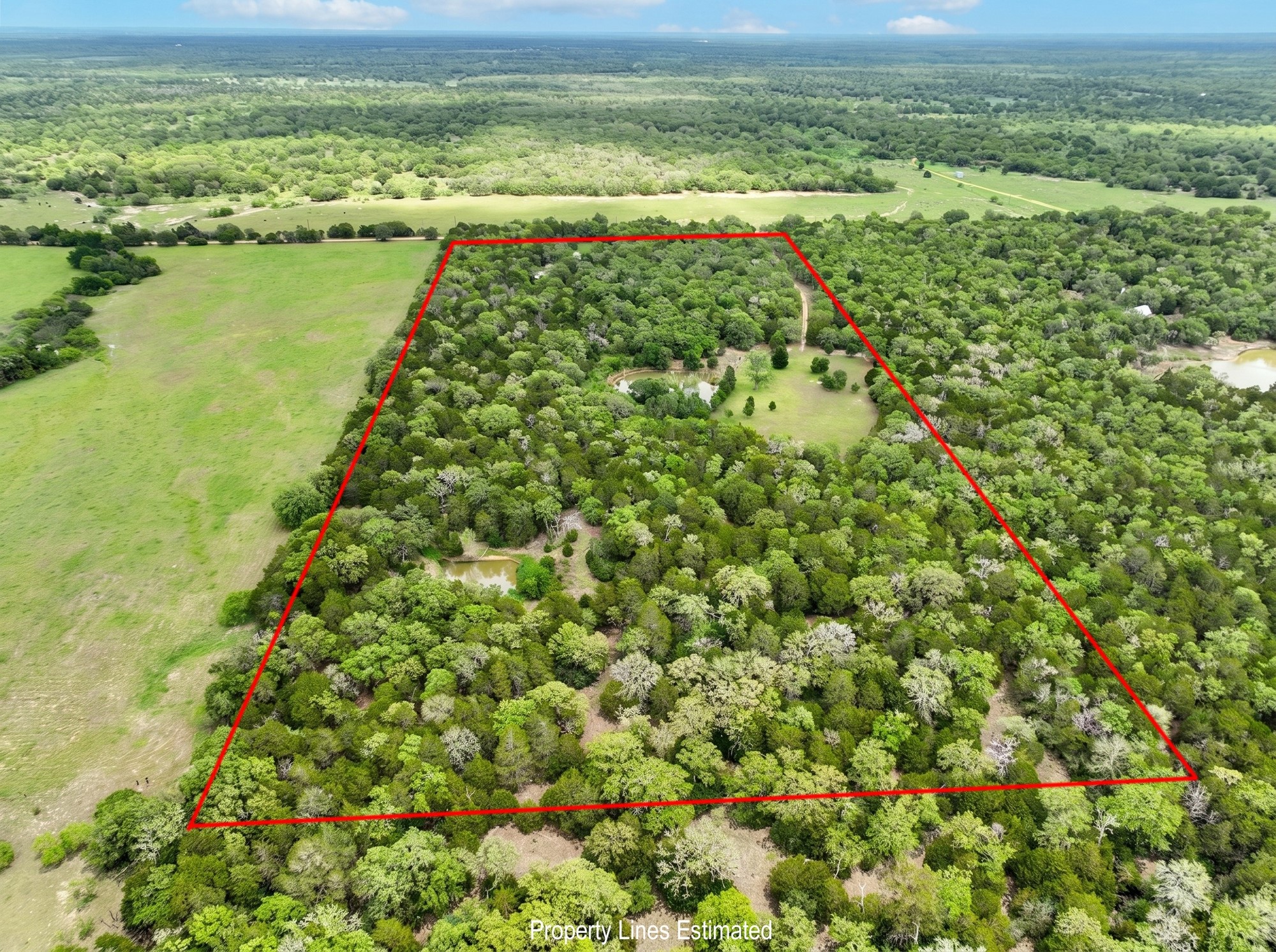 8023 Old Smithville Road Muldoon, TX 78949 - Photo 26 of 39