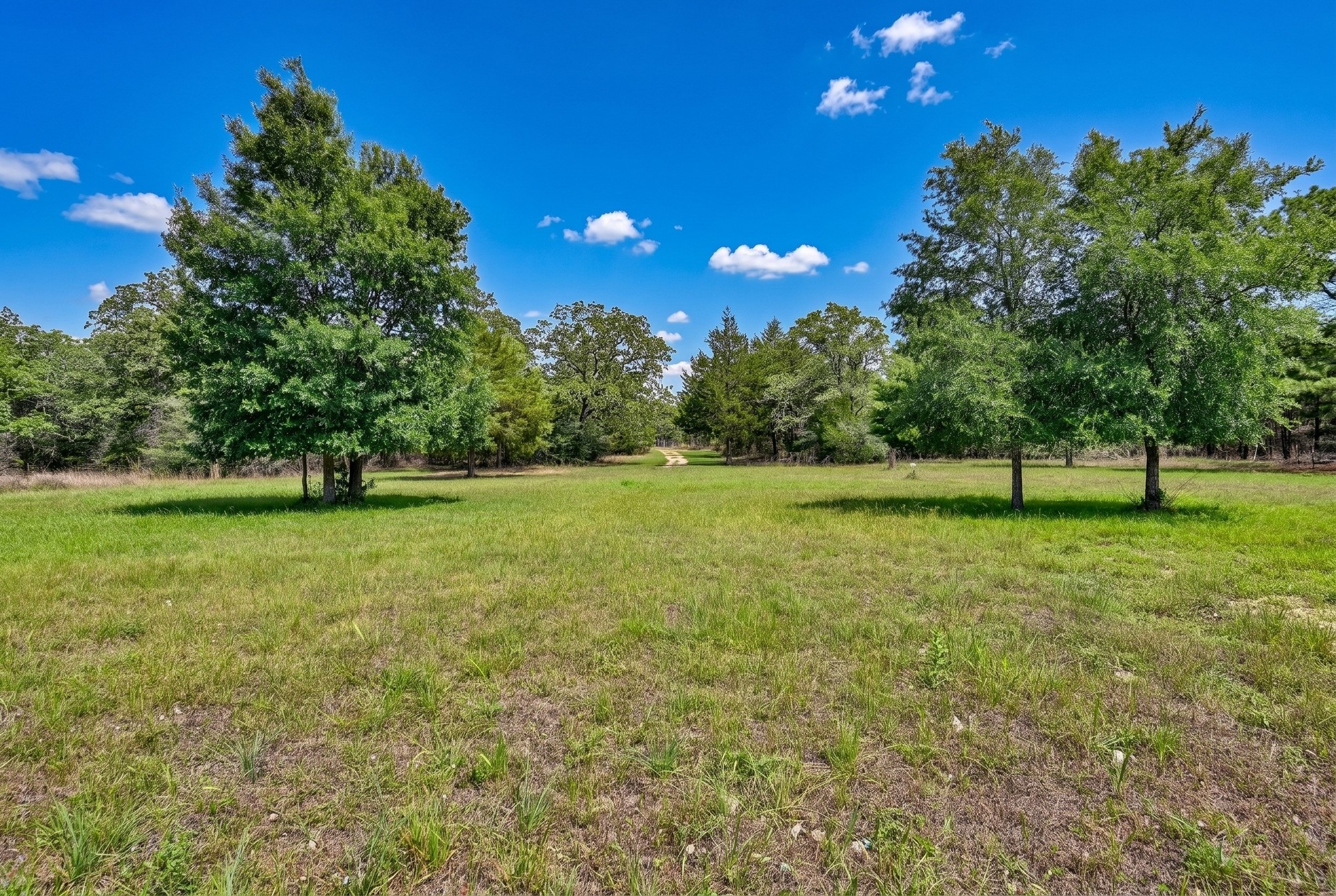 8023 Old Smithville Road Muldoon, TX 78949 - Photo 30 of 39