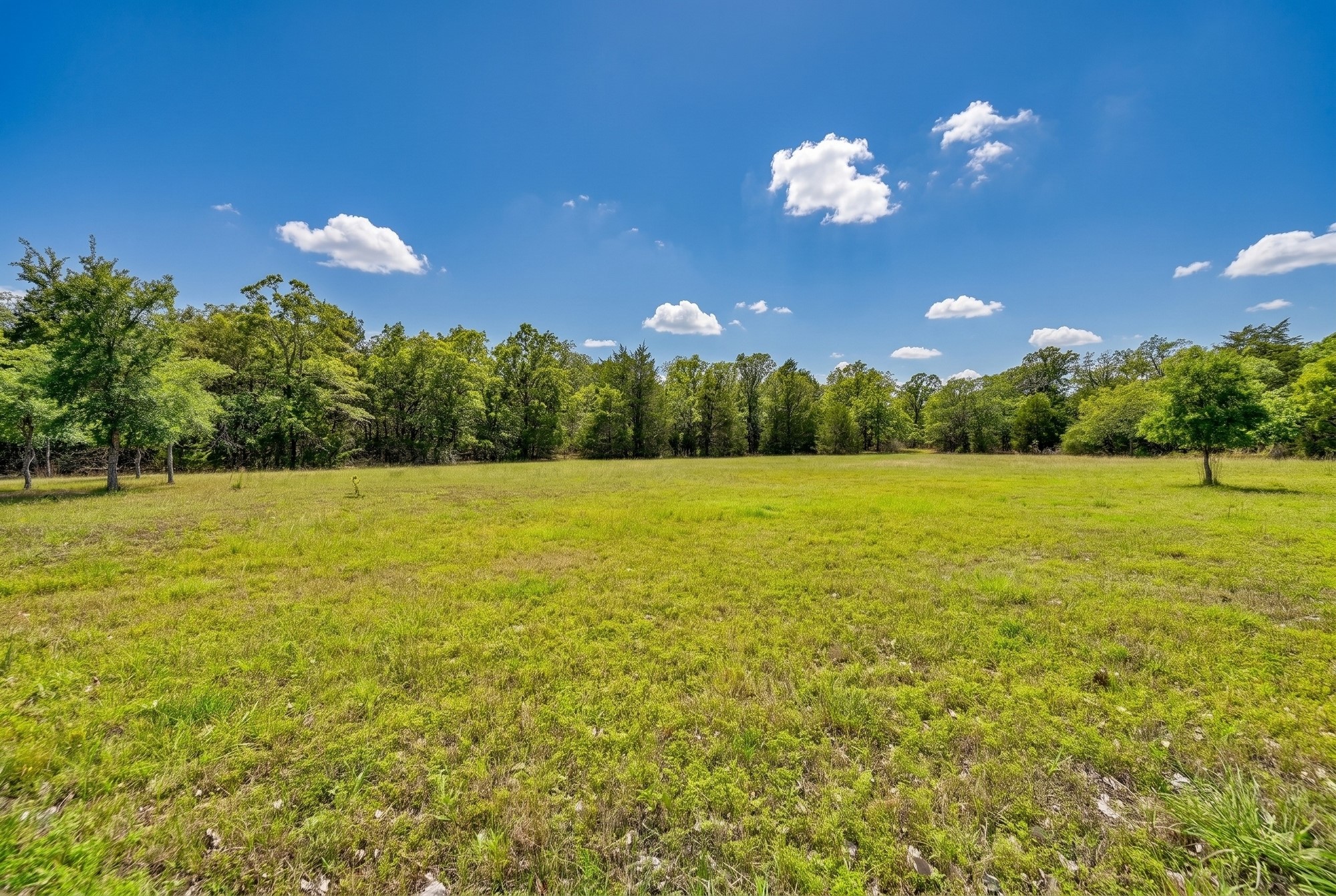 8023 Old Smithville Road Muldoon, TX 78949 - Photo 31 of 39