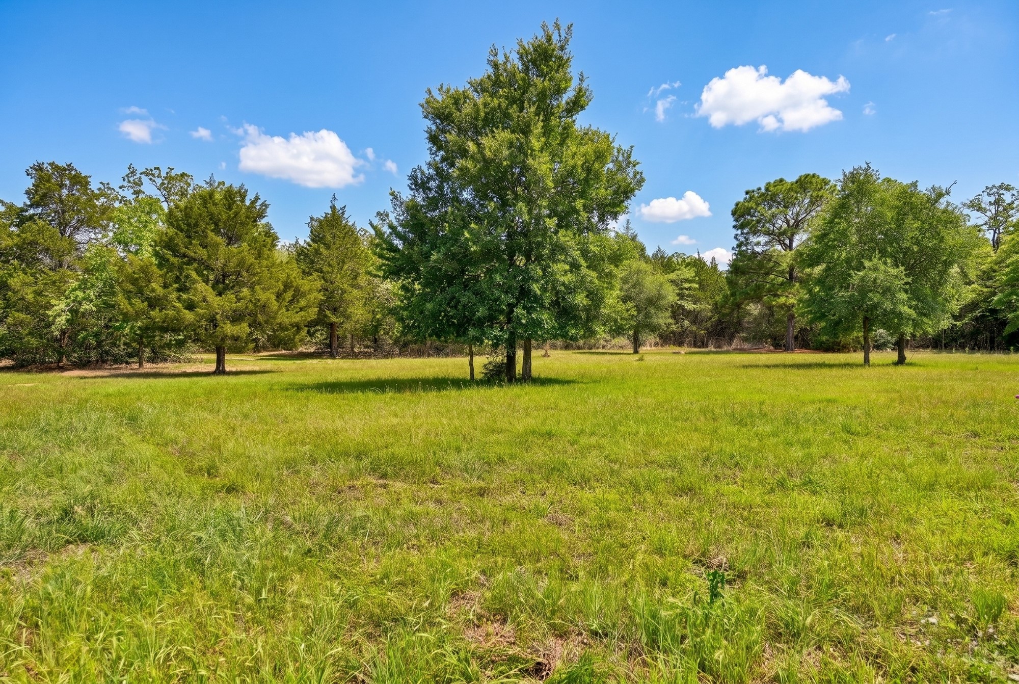 8023 Old Smithville Road Muldoon, TX 78949 - Photo 32 of 39