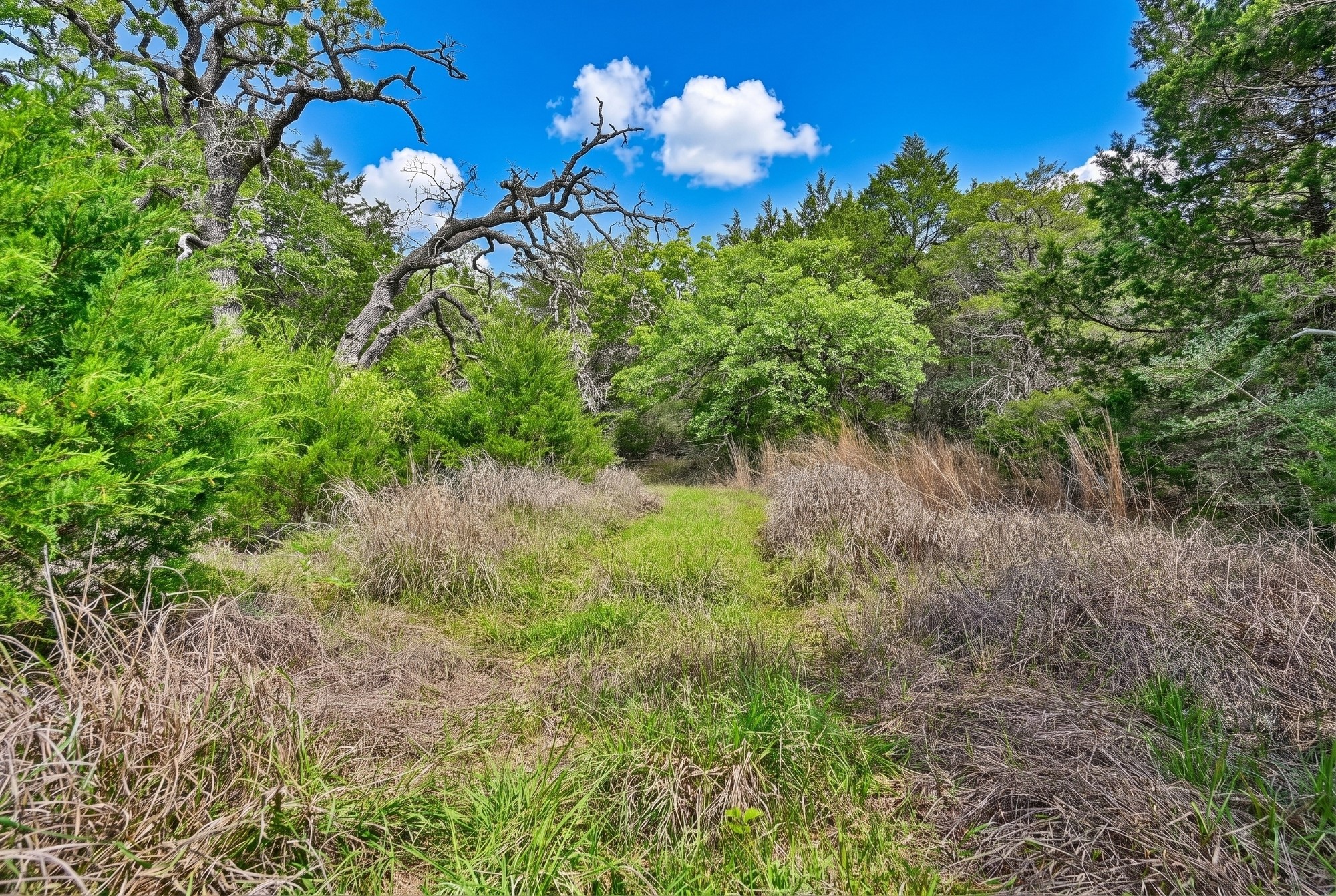 8023 Old Smithville Road Muldoon, TX 78949 - Photo 33 of 39