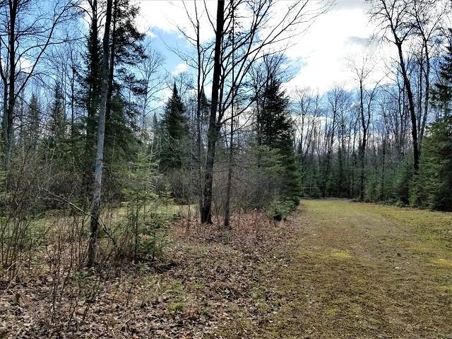 Lot 2 Payment Lake Road Mercer, WI 54547 - Photo 26 of 26 Gallery Image 26