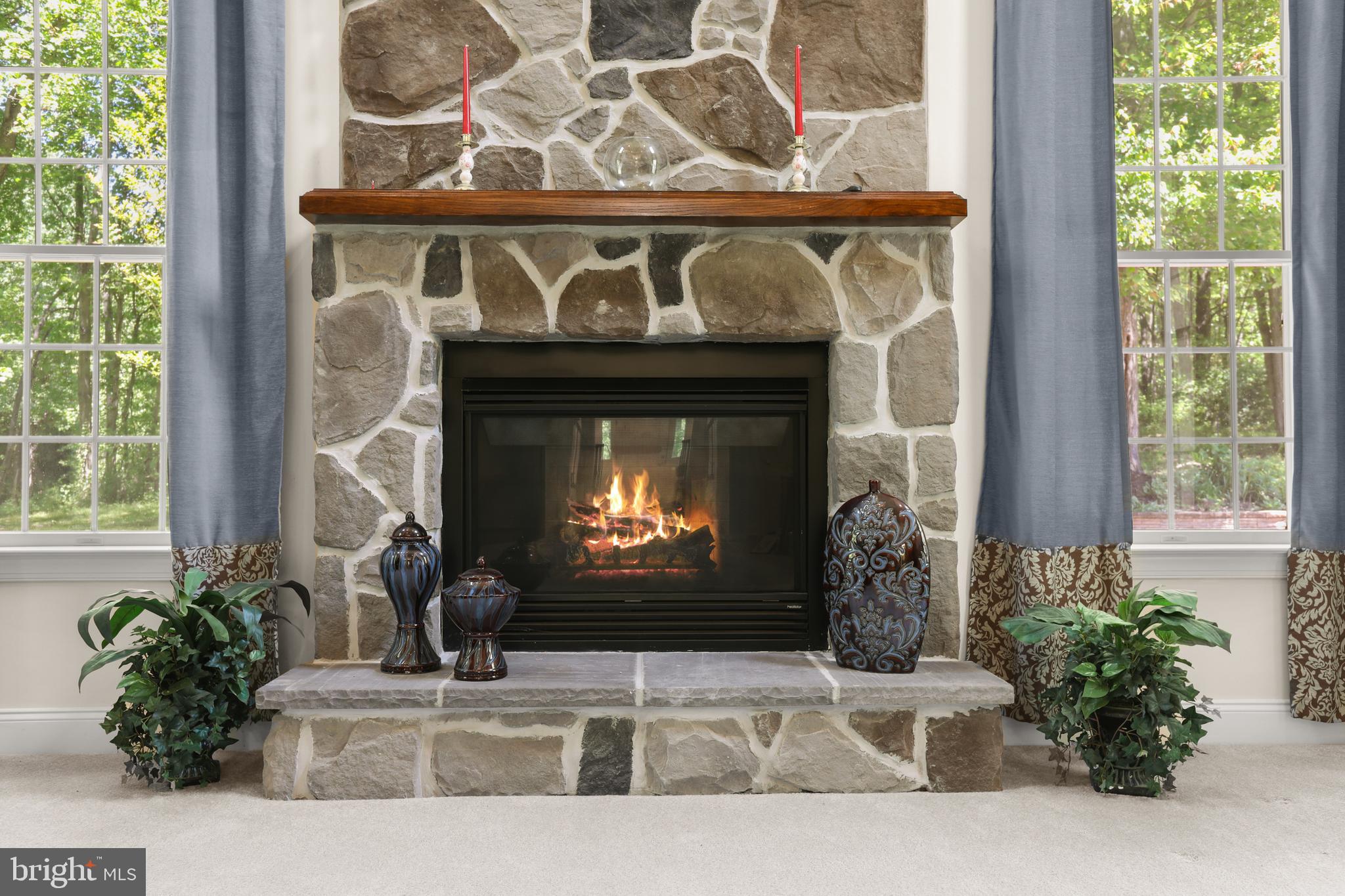 1601 Rushing Stream Court Forest Hill, MD 21050 - Photo 24 of 72 Great Room gas fireplace with mantel