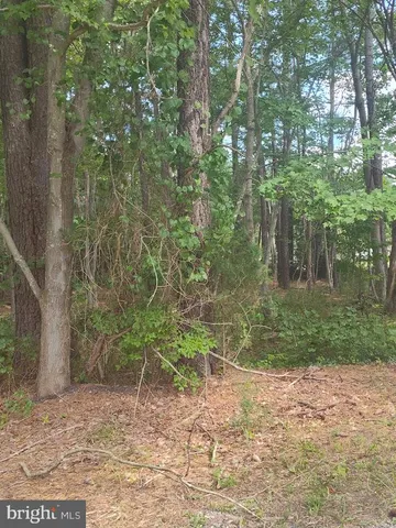 a view of a sign board with garden