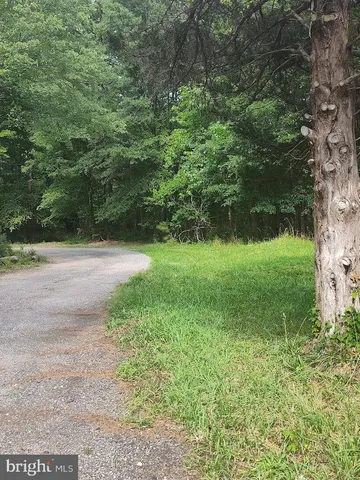 a view of a wooden floor