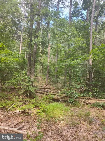 a backyard of a house with lots of green space and chair