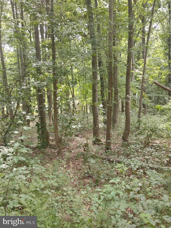 4820 Danville Road Brandywine, MD 20613 - Photo 10 of 17