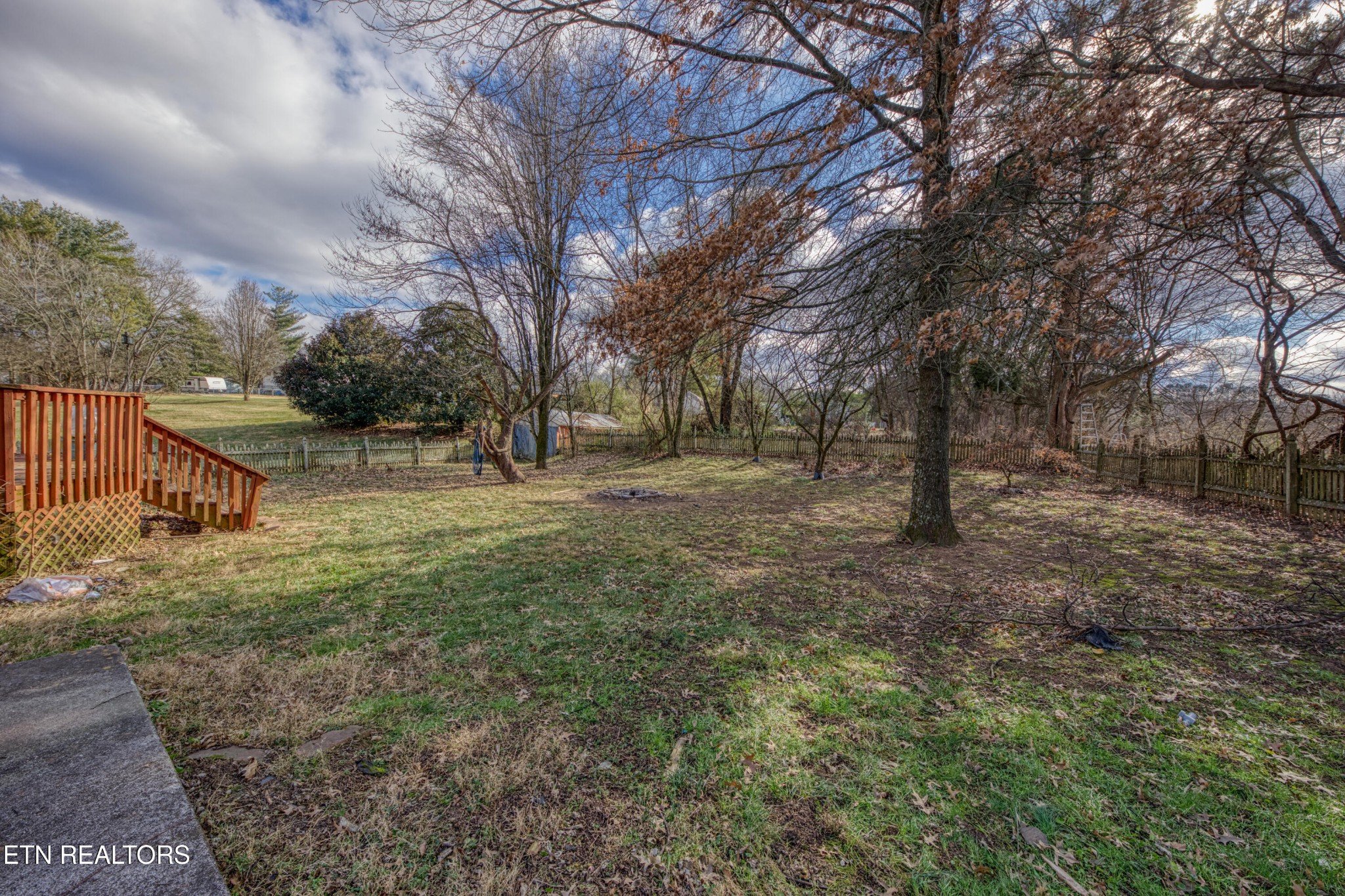 7700 McDaniel Road Knoxville, TN 37924 - Photo 6 of 18 a view of backyard with tree