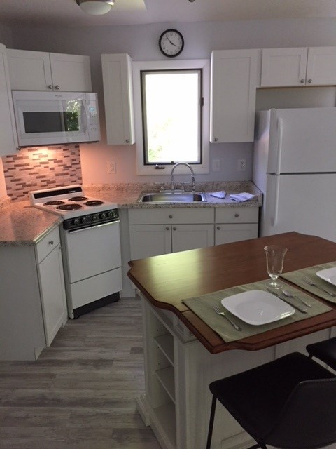 4120 Laurel Hills Road Raleigh, NC 27612 - Photo 19 of 25 In-law Suite Kitchen