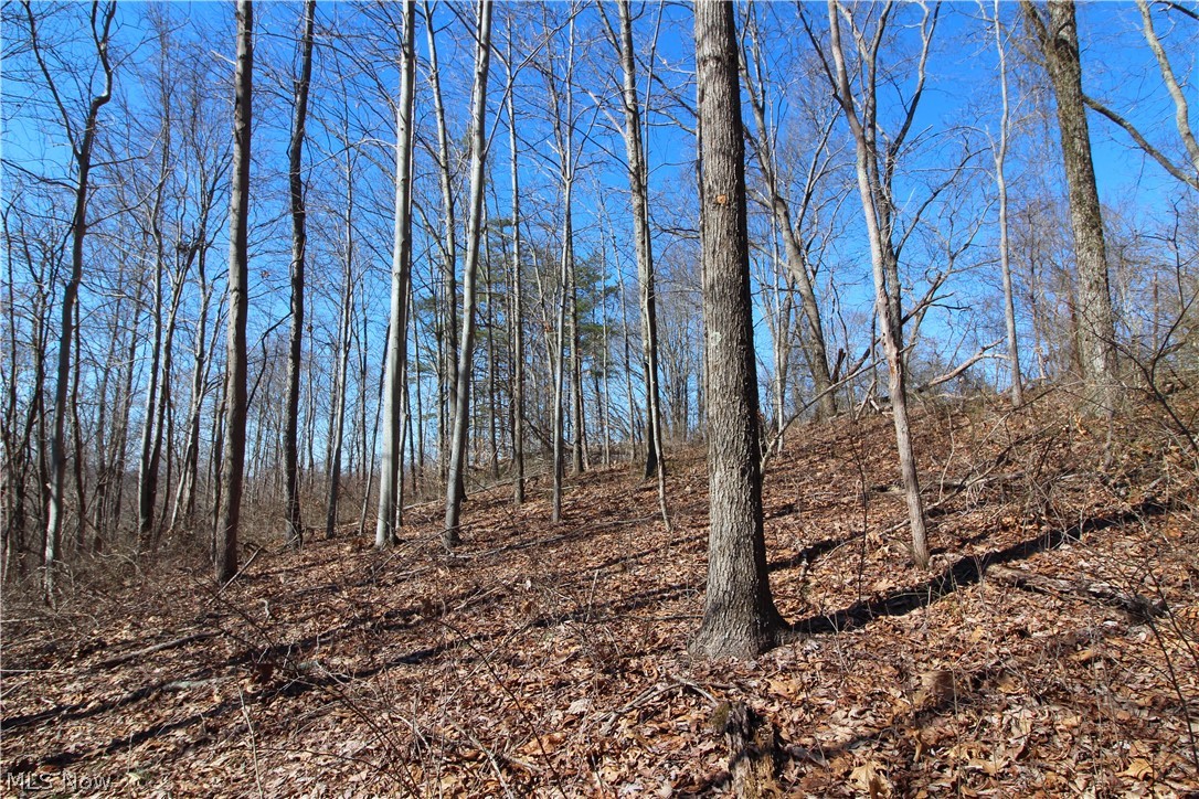1770 Coon Run Road Lower Salem, OH 45745 - Photo 7 of 30 Gallery Image 7