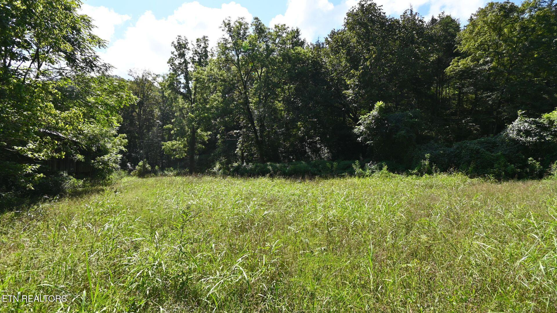 3665 Fisher Valley Road Kyles Ford, TN 37765 - Photo 3 of 6 3