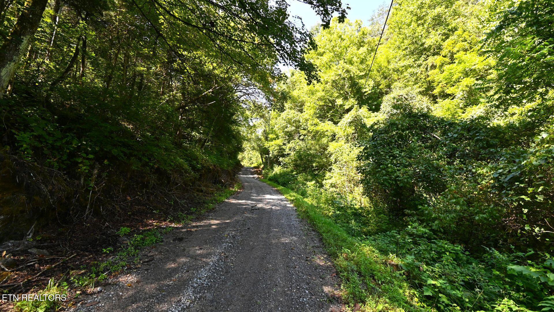 3665 Fisher Valley Road Kyles Ford, TN 37765 - Photo 4 of 6 4