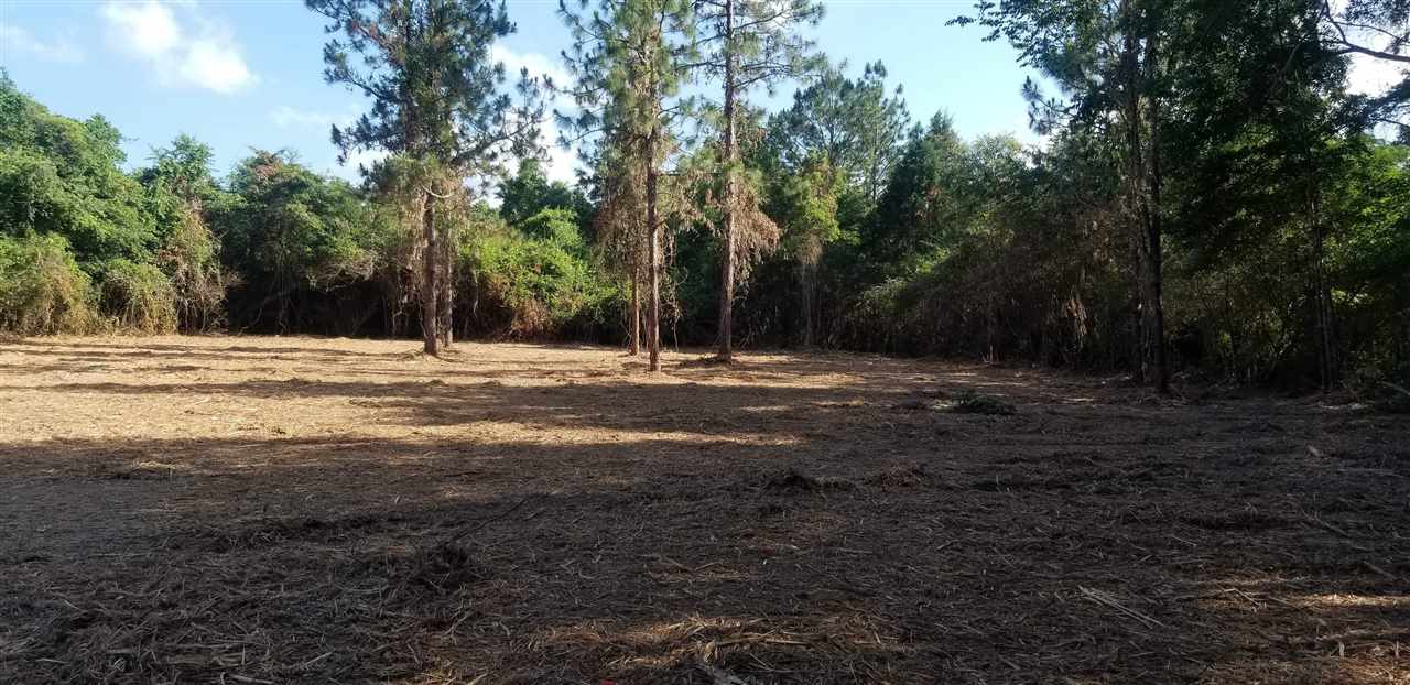 25444 Patterson Road Robertsdale, AL 36567 - Photo 1 of 2