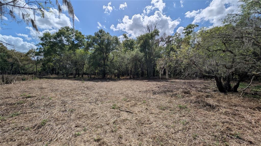 Gillette Road Zolfo Springs, FL 33890 - Photo 11 of 86