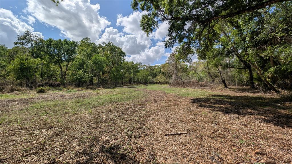 Gillette Road Zolfo Springs, FL 33890 - Photo 14 of 86 a view of a field with trees