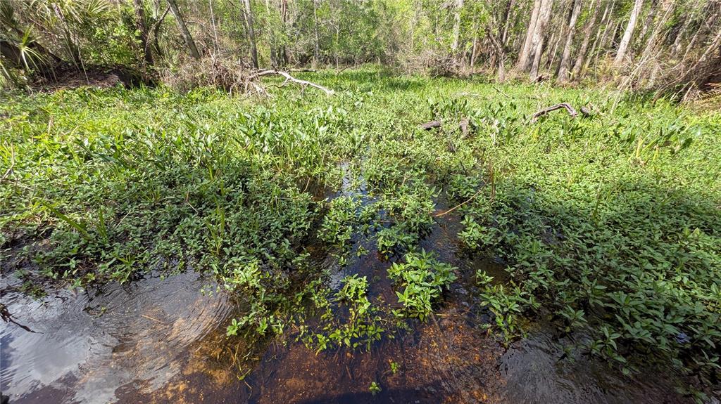 Gillette Road Zolfo Springs, FL 33890 - Photo 18 of 86