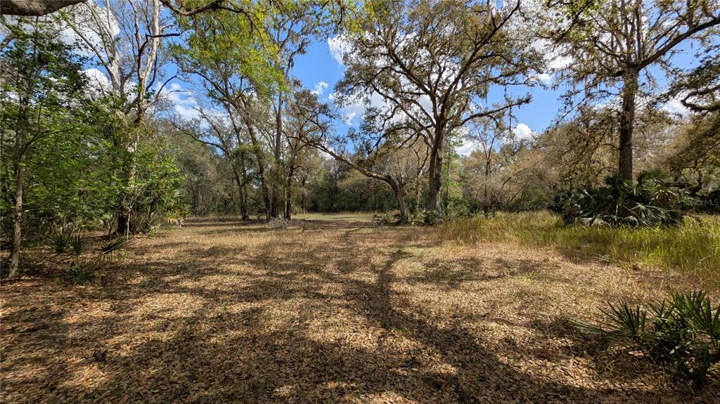 Gillette Road Zolfo Springs, FL 33890 - Photo 25 of 86 a view of outdoor space with yard