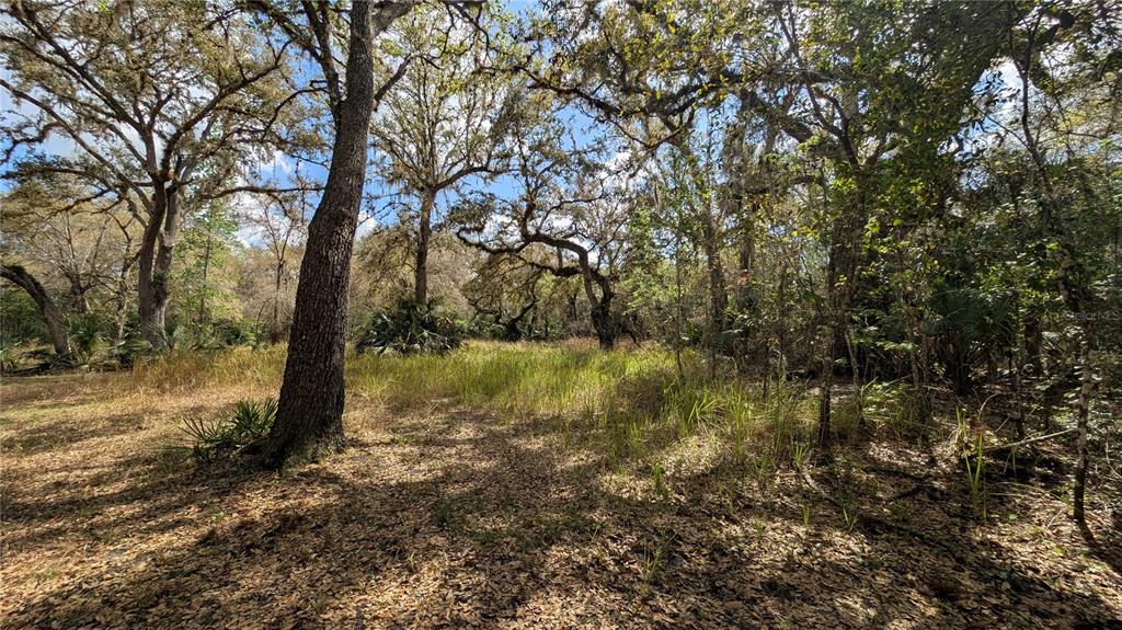 Gillette Road Zolfo Springs, FL 33890 - Photo 27 of 86