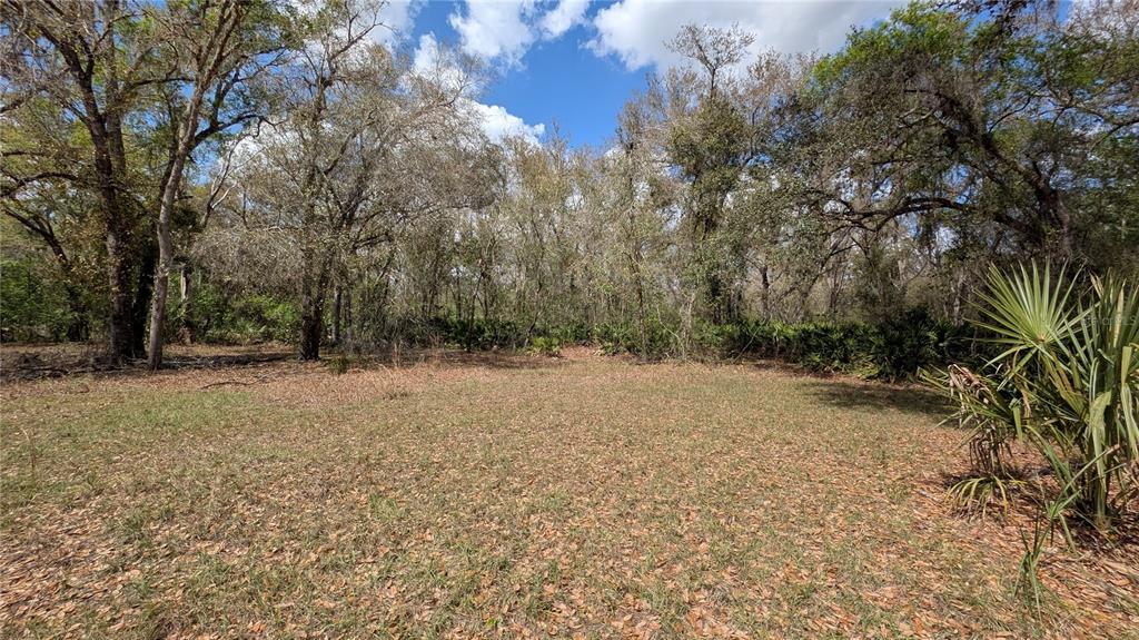 Gillette Road Zolfo Springs, FL 33890 - Photo 28 of 86 a view of outdoor space and yard
