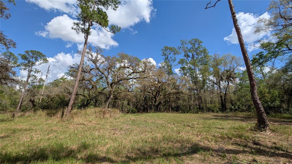 Gillette Road Zolfo Springs, FL 33890 - Photo 3 of 86 a view of a yard