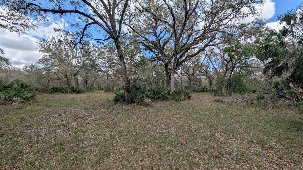 Gillette Road Zolfo Springs, FL 33890 - Photo 34 of 86 a view of a forest with trees in the background
