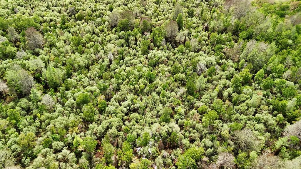 Gillette Road Zolfo Springs, FL 33890 - Photo 47 of 86