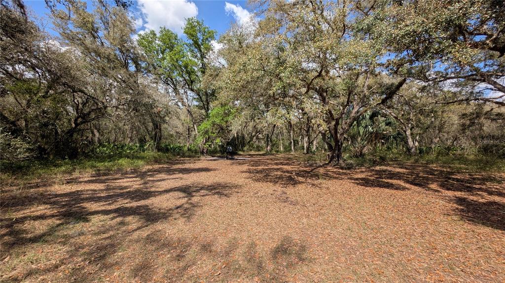 Gillette Road Zolfo Springs, FL 33890 - Photo 49 of 86 a view of outdoor space with trees