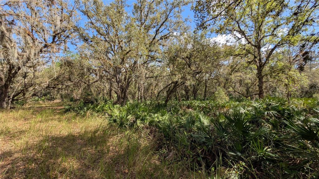 Gillette Road Zolfo Springs, FL 33890 - Photo 54 of 86