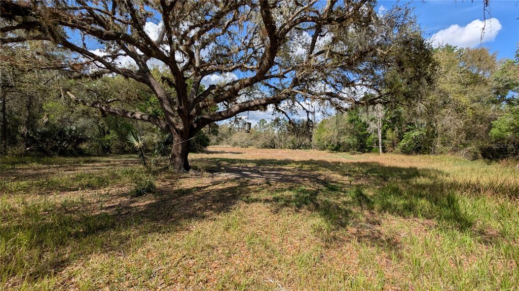 Gillette Road Zolfo Springs, FL 33890 - Photo 57 of 86
