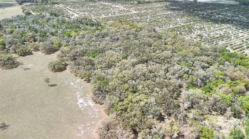 Gillette Road Zolfo Springs, FL 33890 - Photo 58 of 86