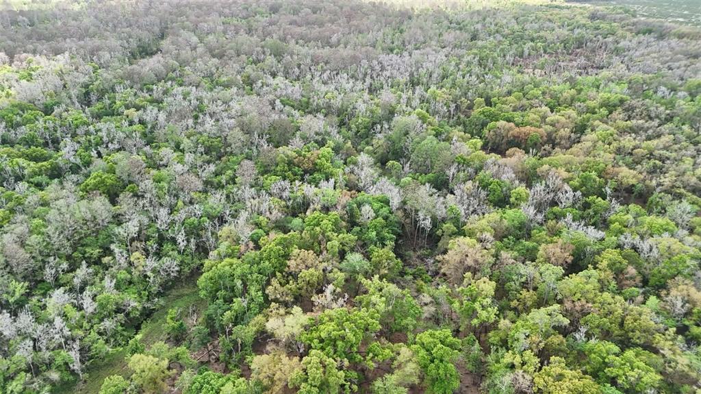 Gillette Road Zolfo Springs, FL 33890 - Photo 62 of 86